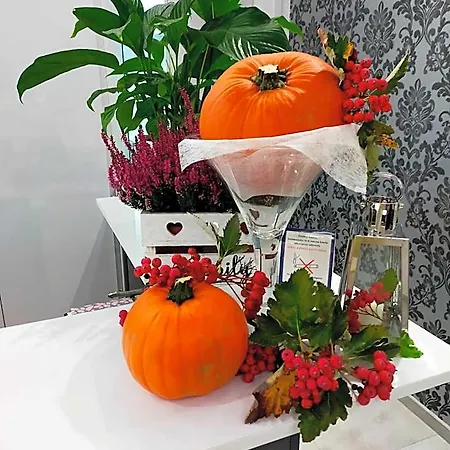 فندق مبيت وإفطار Wrzos 3*